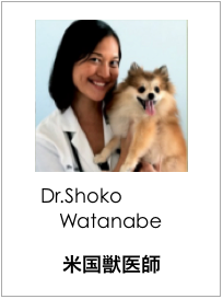 米国獣医師